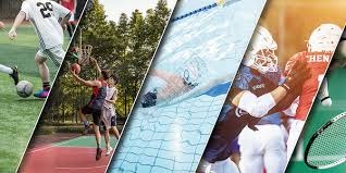 自由式滑雪——国际雪联世界杯（利维尼奥站）：男子空中技巧赛况